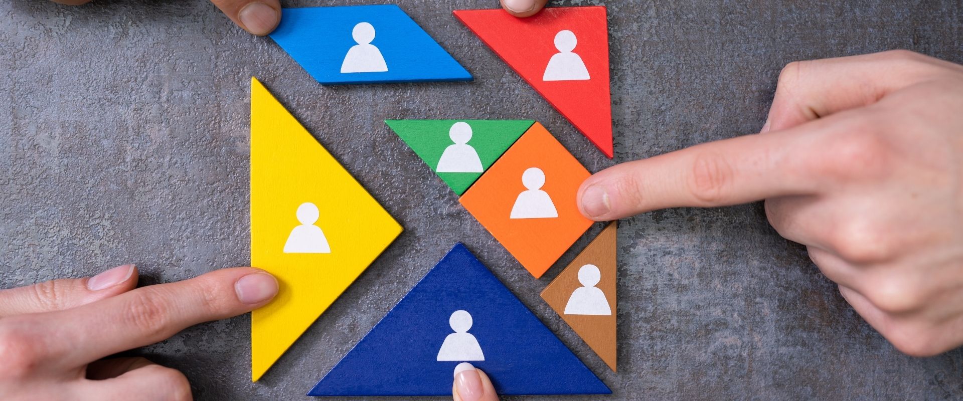 Scioglimento Società di Persone a Torino